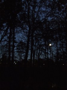 moon-over-lake- view from bacik of house with all windows looking over a lake.